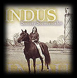 INDUS independent music indy acoustic rock contemporary folk  music  folk rock